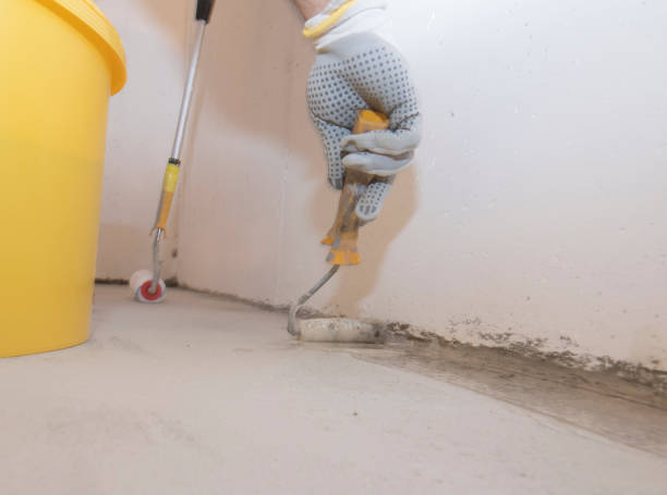 Best Pest Exclusion Services  in Jenkintown, PA